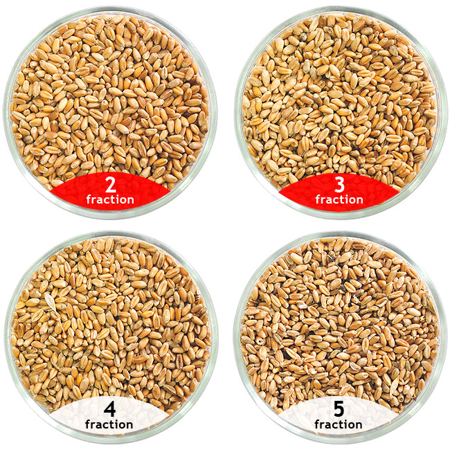 Calibrage de blé, purification de blé à l’aide des épépineuses CAD pour la purification des grains