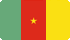 Флаг Камерун
