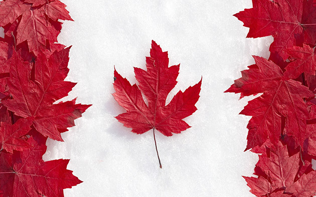 Flag of Canada living leaves