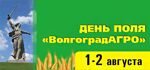 Volgograd AGRO 2013