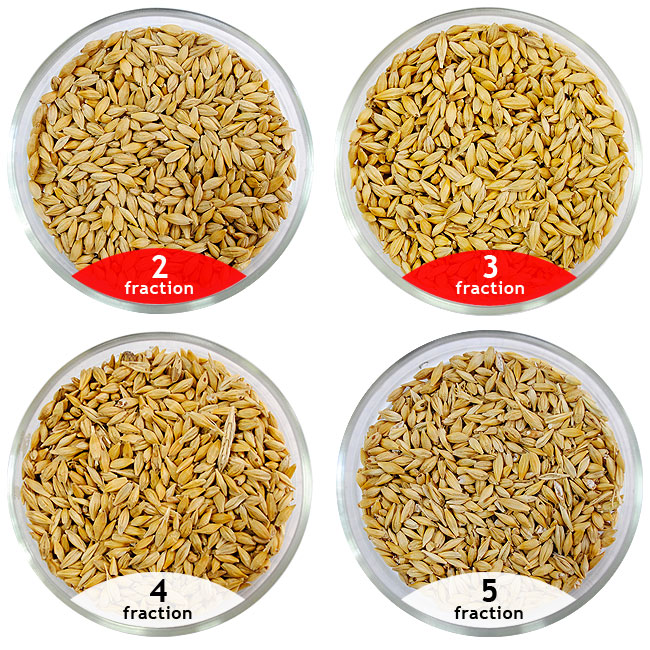 Calibration of barley, separation of barley, cleaning of barley, separators for barley