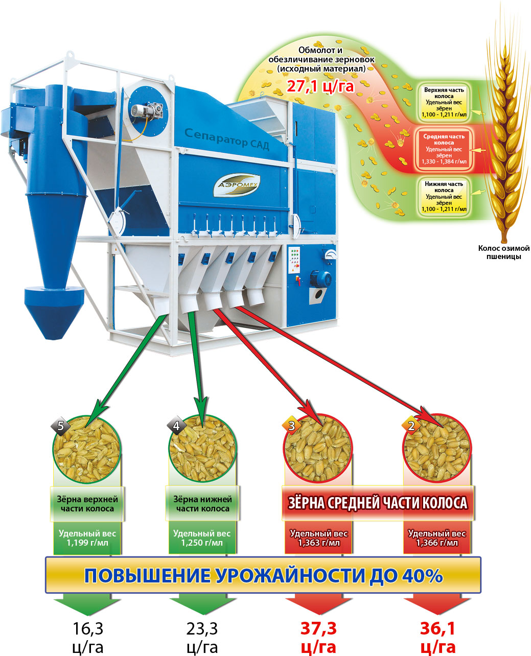 Схема Технологія здобуття високоврожайного насіння на зерноочистітельной машині САД