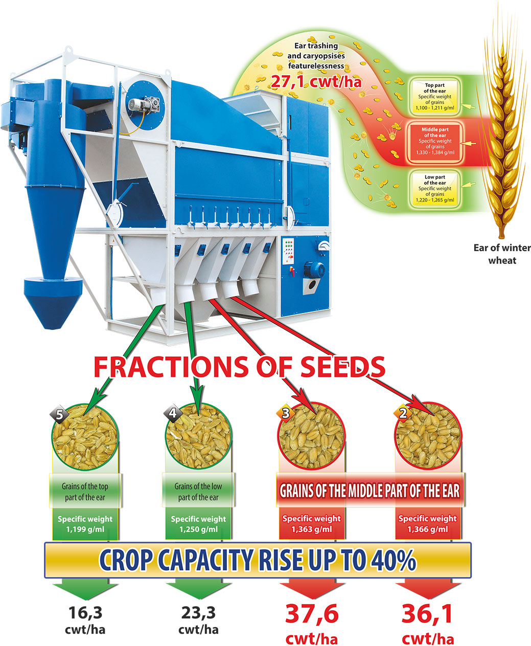 Technological scheme of seed production on graincleaning CAD machines