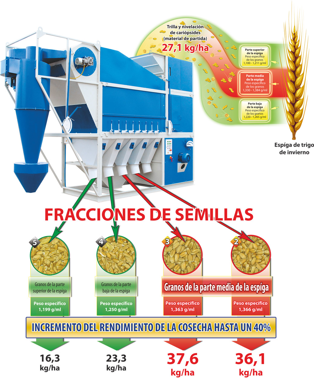 Tecnología para la producción de semillas en los separadores SAD
